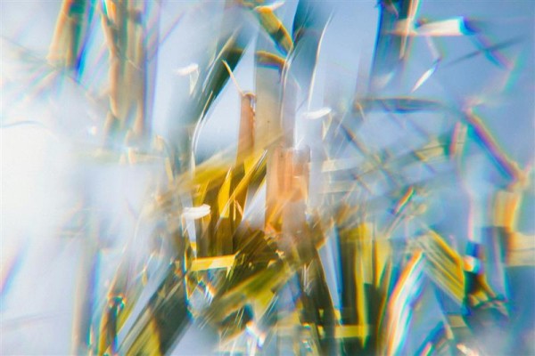 We answer your questions about methamphetamine