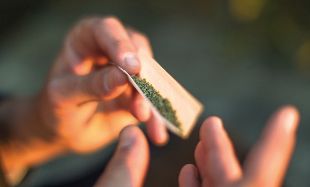 rolling cannabis mos aug 2020