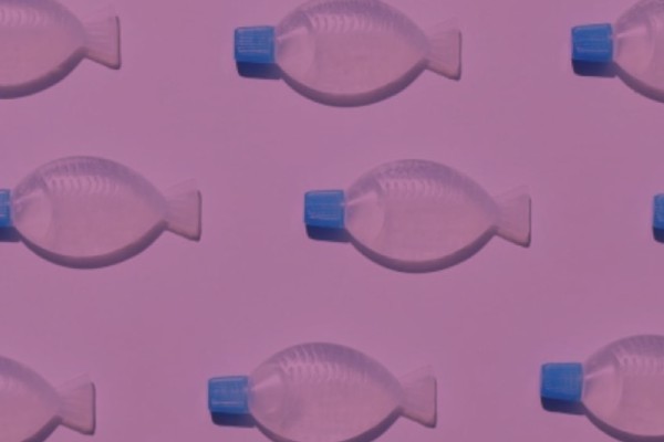 GHB, GBL, 1,4-BD - what’s the difference? 